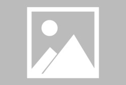 伯科夫决赛精彩瞬间成为焦点，伯 夫差